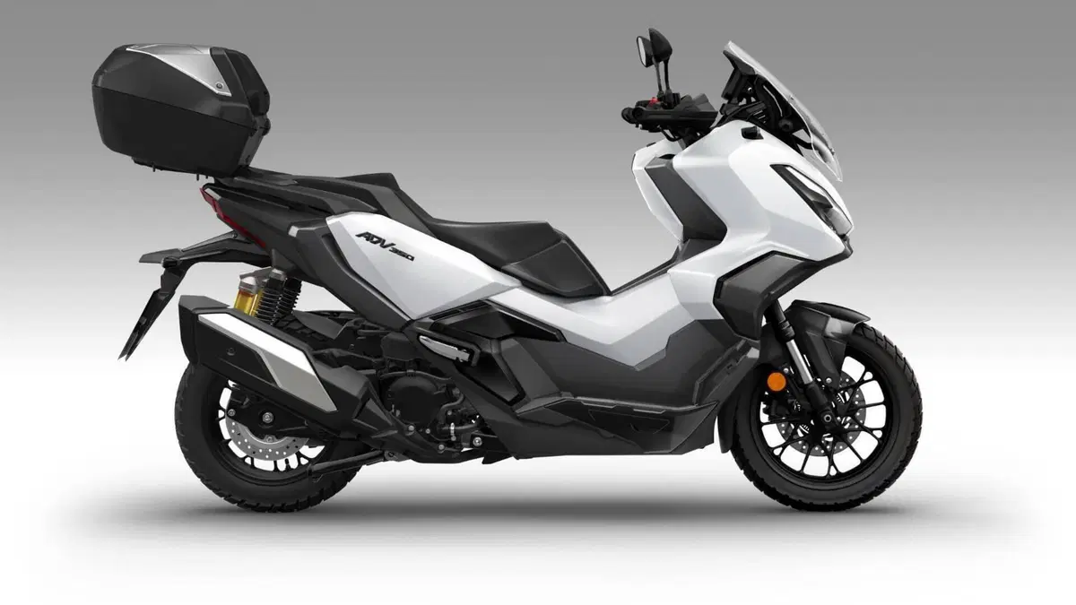 Honda ADV 350 (2025 - 26)  (2)