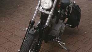 Harley-Davidson 883 Custom (2001 - 05) - XL 53C  (3)