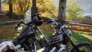 Harley-Davidson 883 Custom (2001 - 05) - XL 53C  (10)