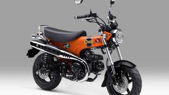 Honda Dax 125 (2025 - 26) nuova