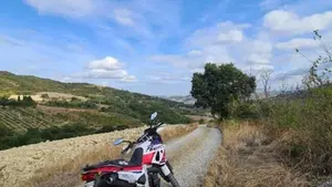 Aprilia Pegaso 650 (1991 - 96)  (3)