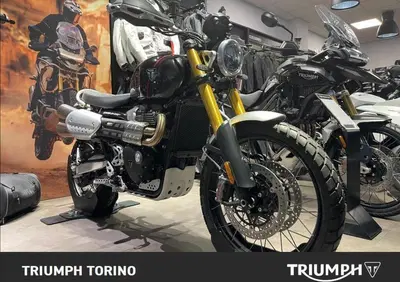 Triumph Scrambler 1200 XE (2024 - 25) - Annuncio 9916315