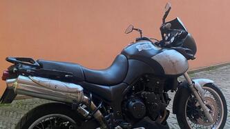 Triumph Tiger 955 (2002 - 06) usata