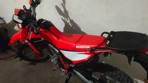 Honda CRF 300 L (2025 - 26) 