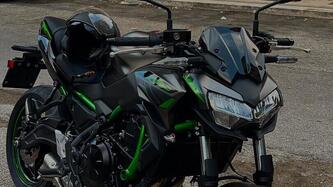 Kawasaki Z 650 Performance (2021 - 24) usata