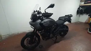 Harley-Davidson Pan America 1250 Special (2020 - 25)  (9)