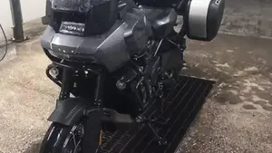 Harley-Davidson Pan America 1250 Special (2020 - 25)  (20)