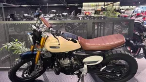 Fantic Motor Caballero 500 Scrambler Deluxe (2021 - 23)  (3)