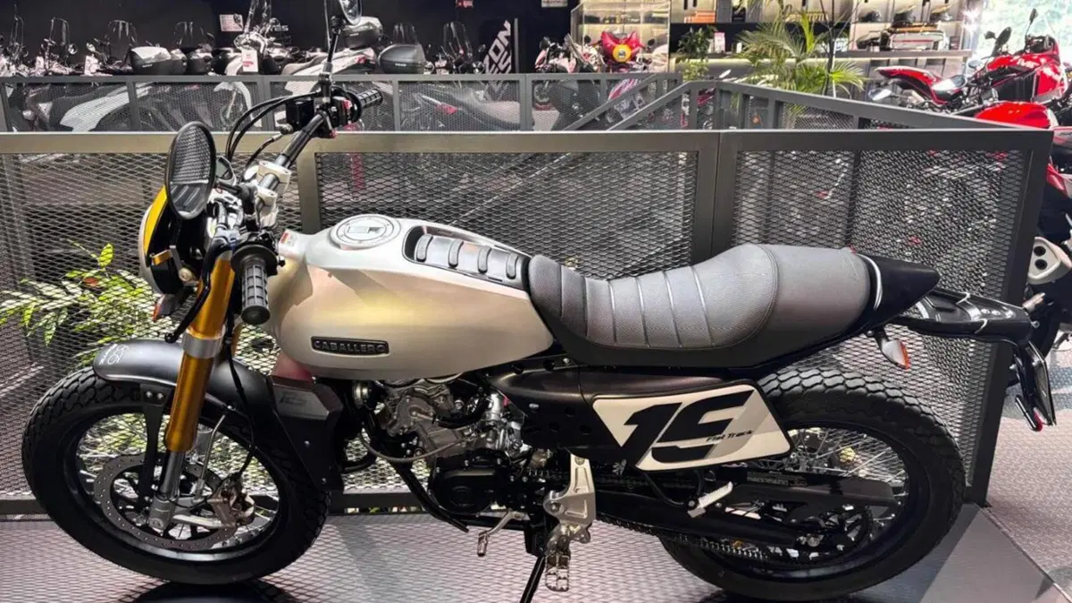 Fantic Motor Caballero 125 Flat Track (2021 - 24)  (3)