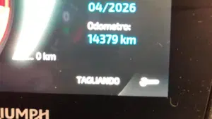 Triumph Speed Triple 1200 RS (2021 - 24)  (10)