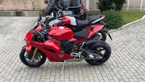 Ducati Panigale V4 S (2025 - 26) 