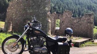 Harley-Davidson 883 Low (2006 - 07) - XL 883L usata