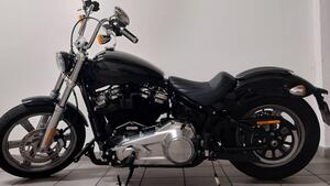 Harley-Davidson Softail Standard (2021 - 25) 