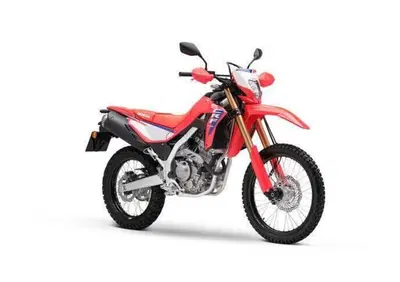 Honda CRF 300L (2025 - 26) - Annuncio 9932684