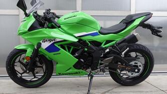 Kawasaki Ninja 125 (2025 - 26) nuova
