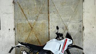 Ducati DesertX (2022 - 25) usata