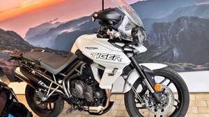 Triumph Tiger 800 XR (2018 - 20) 