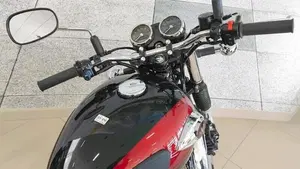 Kawasaki W 800 (2021 - 26)  (3)