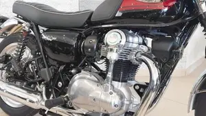 Kawasaki W 800 (2021 - 26)  (4)