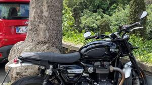 Triumph Speed Twin 1200 (2019 - 20) 