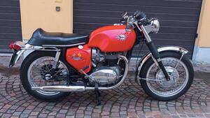 Bsa  