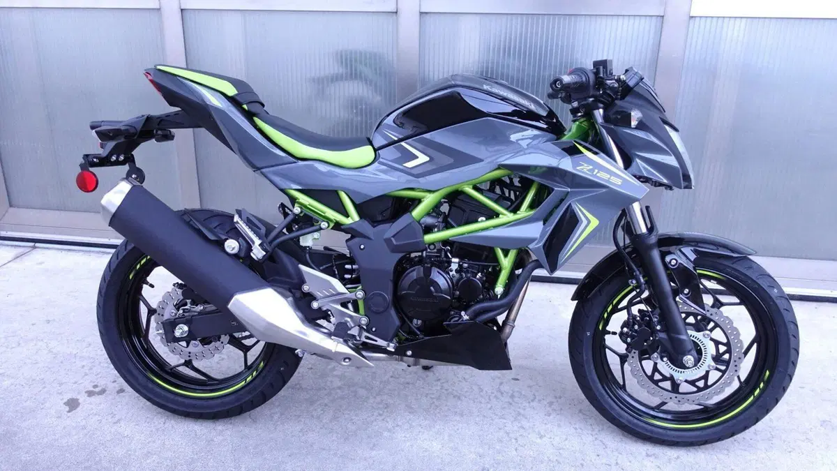 Kawasaki Z 125 (2025 - 26)  (3)