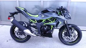 Kawasaki Z 125 (2025 - 26)  (3)