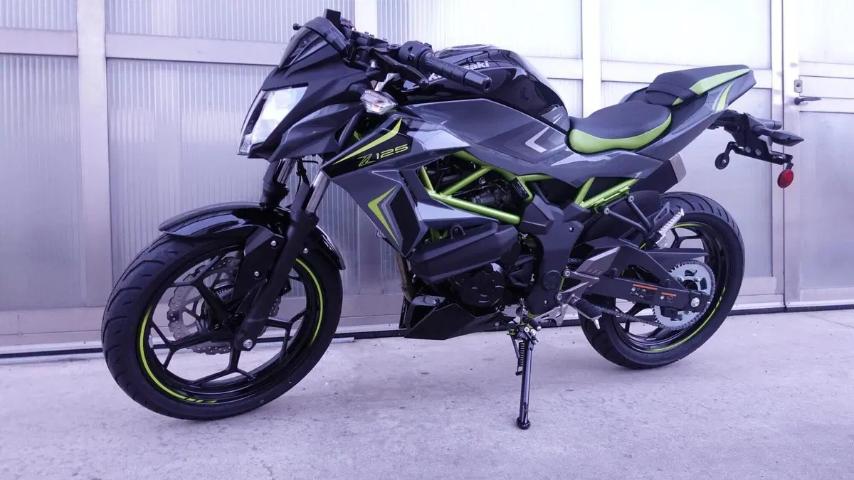 Kawasaki Z 125 (2025 - 26)  (2)