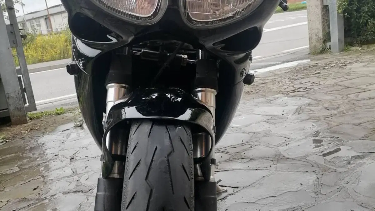 Triumph Daytona T 595 (1996 - 02)  (2)