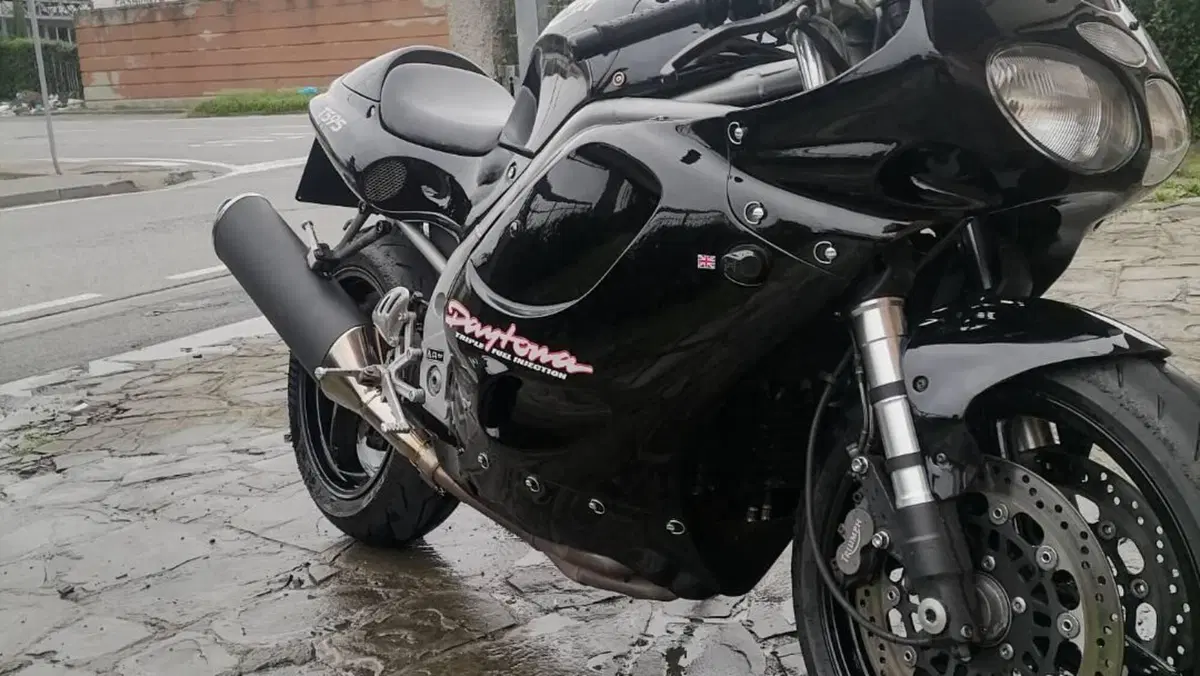 Triumph Daytona T 595 (1996 - 02)  (3)