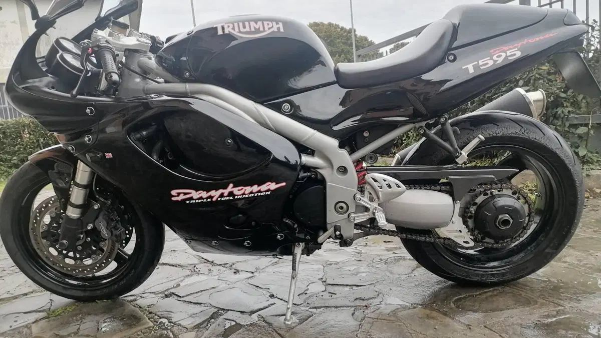 Triumph Daytona T 595 (1996 - 02)  (5)