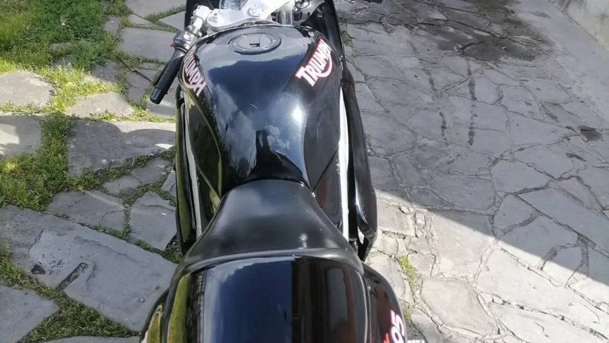 Triumph Daytona T 595 (1996 - 02)  (6)