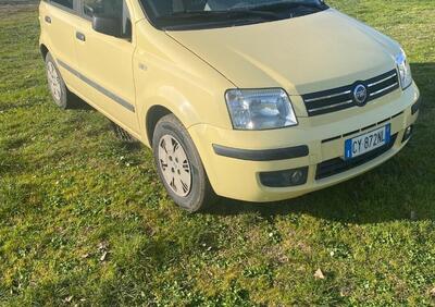 Fiat Panda 1.2 Dynamic usata
