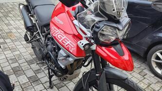 Triumph Tiger 800 XCa (2018 - 20) usata