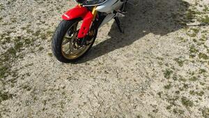 Yamaha YZF R125 (2021 - 22) 