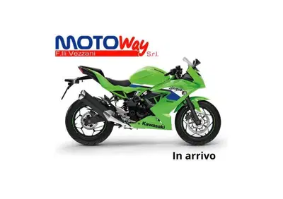 Kawasaki Ninja 125 (2025 - 26) - Annuncio 9934147