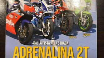 Triumph Thunderbird 900 Sport (2003 - 04) usata