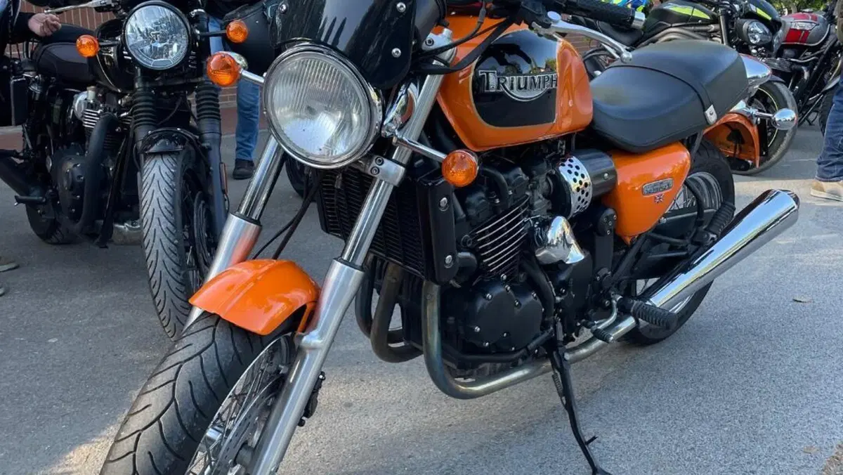 Triumph Thunderbird 900 Sport (2003 - 04)  (8)