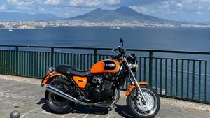 Triumph Thunderbird 900 Sport (2003 - 04)  (14)