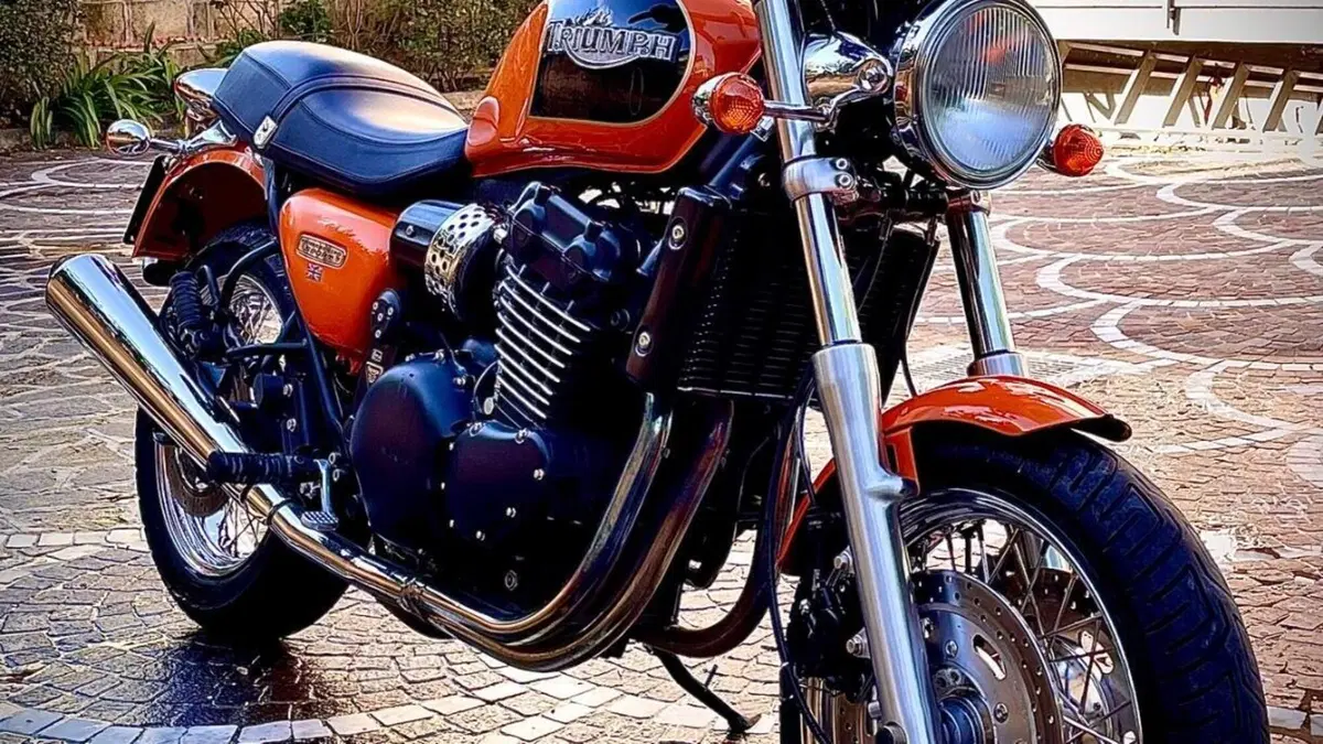 Triumph Thunderbird 900 Sport (2003 - 04)  (16)