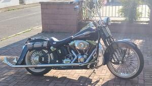 Harley-Davidson 1584 Springer Classic (2006 - 07) - FLSTSC 