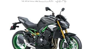 Kawasaki Z 900 SE (2025 - 26) 