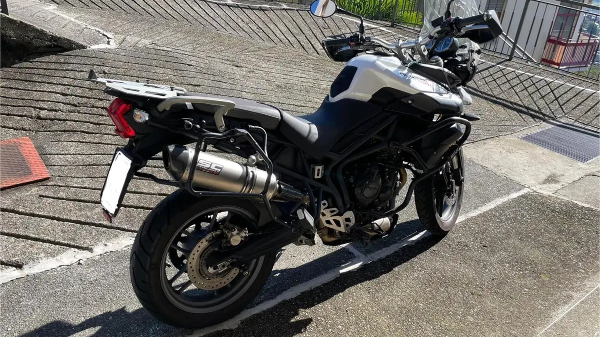 Triumph Tiger 800 ABS (2010 - 14)  (3)