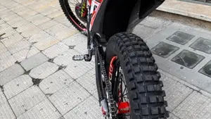 TRS Motorcycles One 300 AE (2022 - 23)  (3)