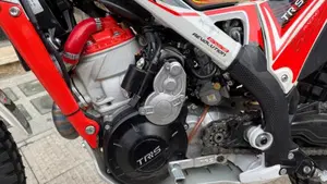 TRS Motorcycles One 300 AE (2022 - 23)  (8)