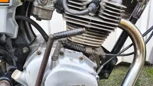 Honda   (13)