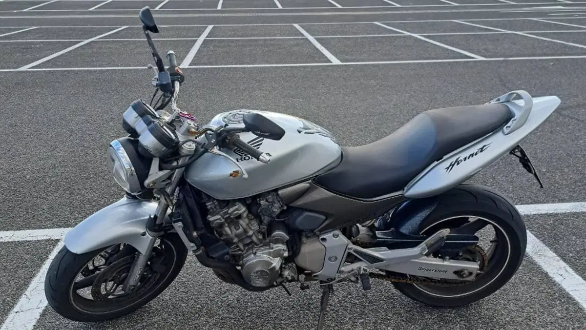Honda CBF 600 (2004 - 06)  (5)