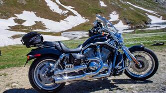 Harley-Davidson 1250 V-Rod (2008 - 12) - VRSCAW usata