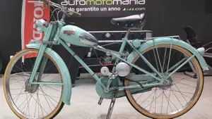 Bianchi  