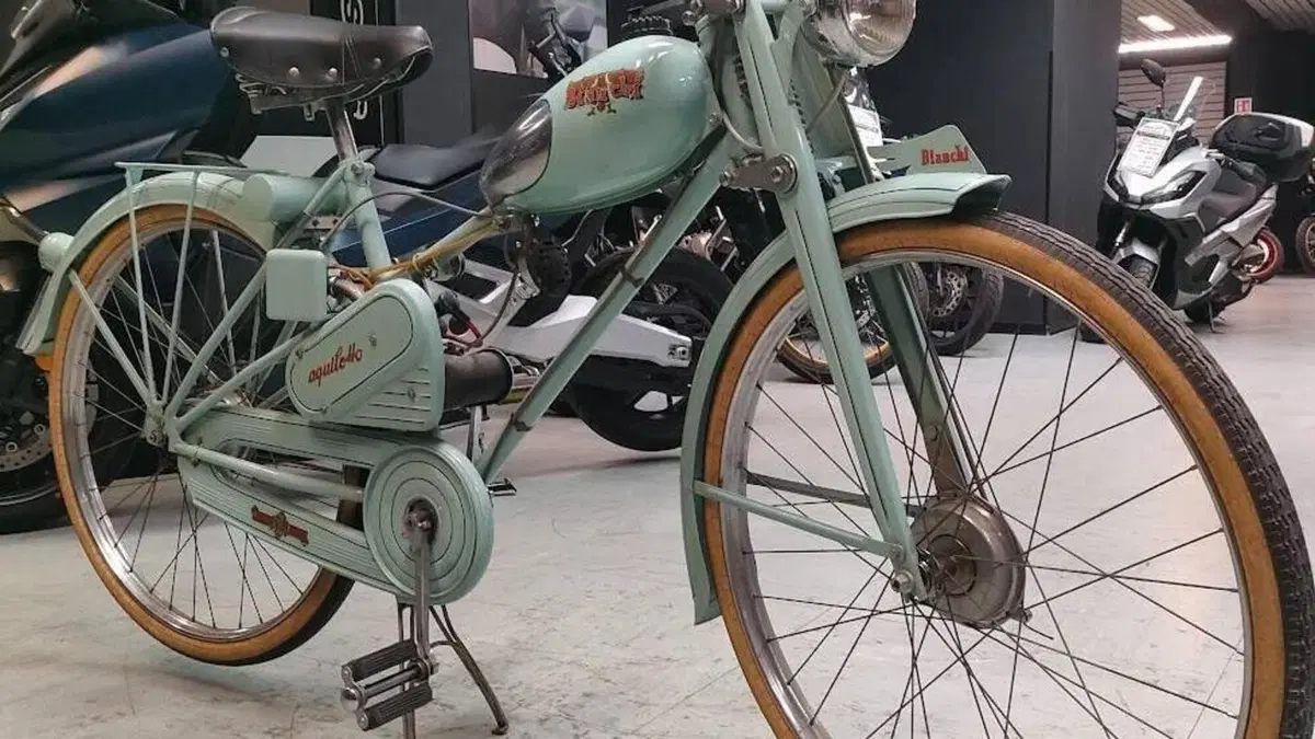 Bianchi   (3)
